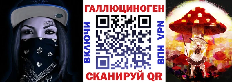 Псилоцибиновые грибы прущие грибы  Купить  Белый 